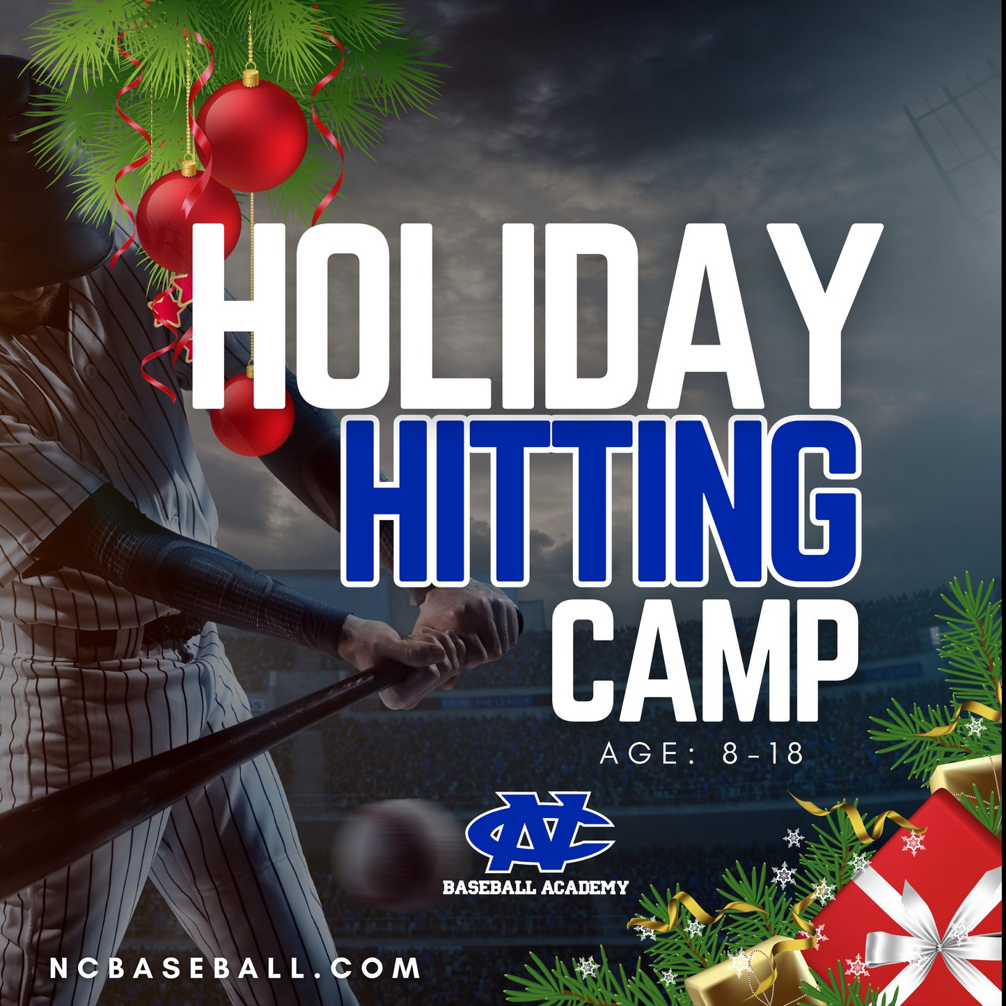 Holiday Elite Pro Hitting Camp (DEC 22nd-23rd - 9am-12pm)