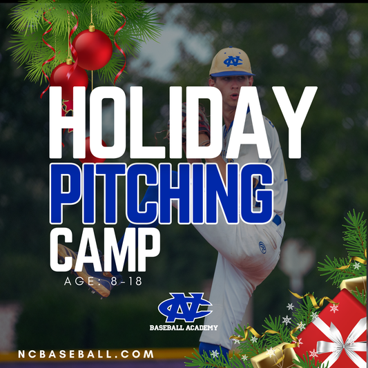 Holiday Elite Pro Pitching Camp - (DEC 22nd-23rd - 1-4pm)