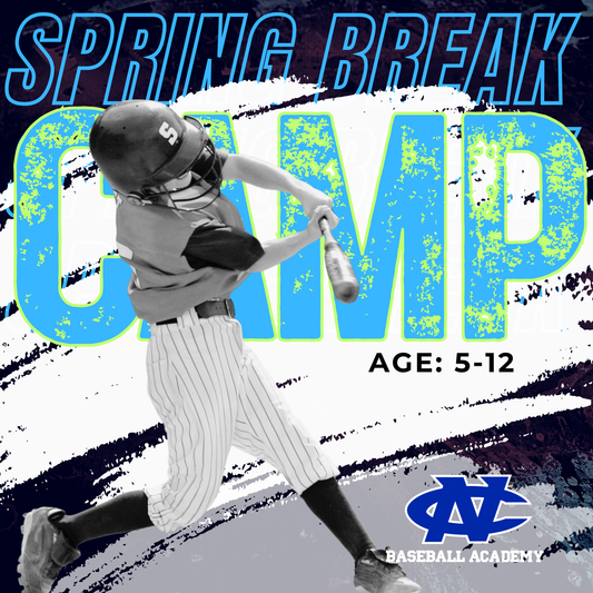 Spring Break Camp (April 14th-April 16th 2025)