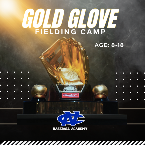 Gold Glove Fielding Camp (July 7th-9th 2025)